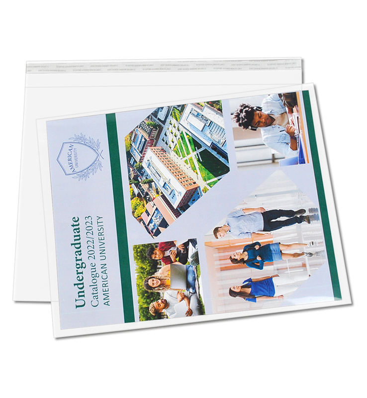 Clear Catalog Envelope 10.25" x 13.25"<br>Box of 500 3 Clear Catalog Envelope 10.25" x 13.25"<br>Box of 500 - Image 3